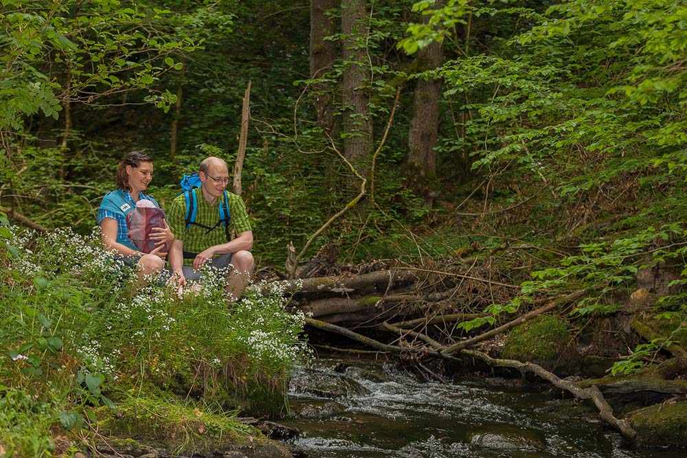 Die Ehrbachklamm - Eine der schönsten Wanderwege 8